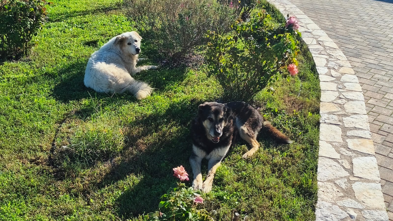 Du betrachtest gerade Trauer